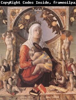 Marco Zoppo The Virgin and Child Surrounded by Eight Angels (mk05)